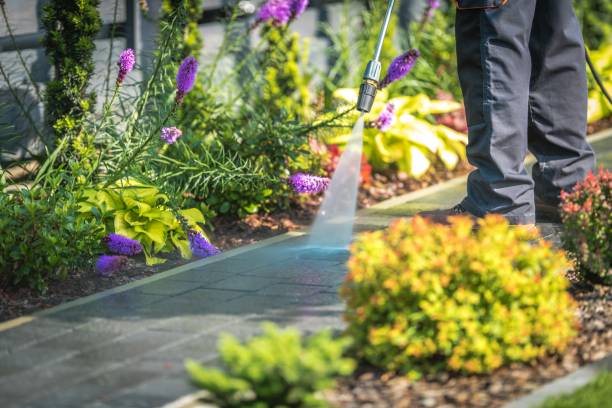 Best Dumpster Area Cleaning  in Coalfield, TN