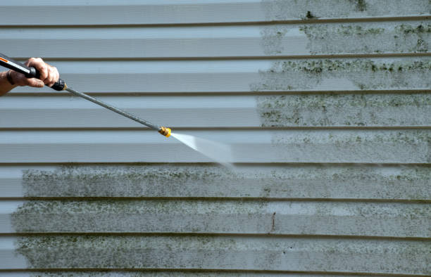 Best House Exterior Washing  in Coalfield, TN